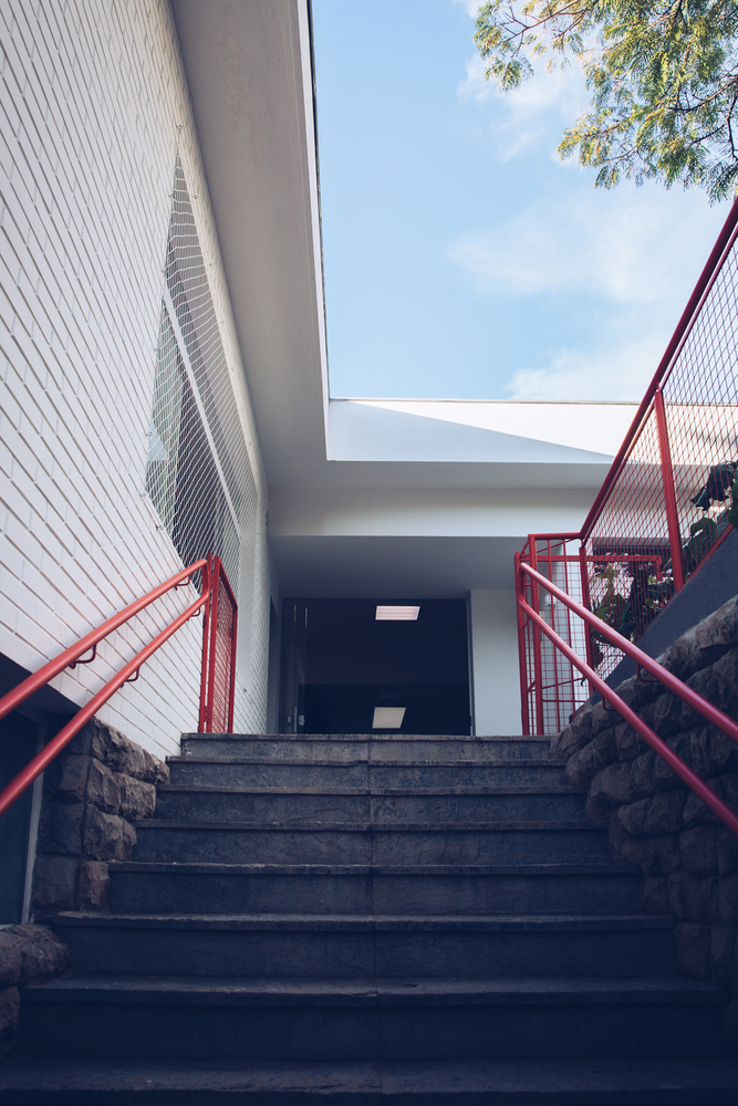 巴西蒙特梭利幼儿园 · 自由发展的空间-31