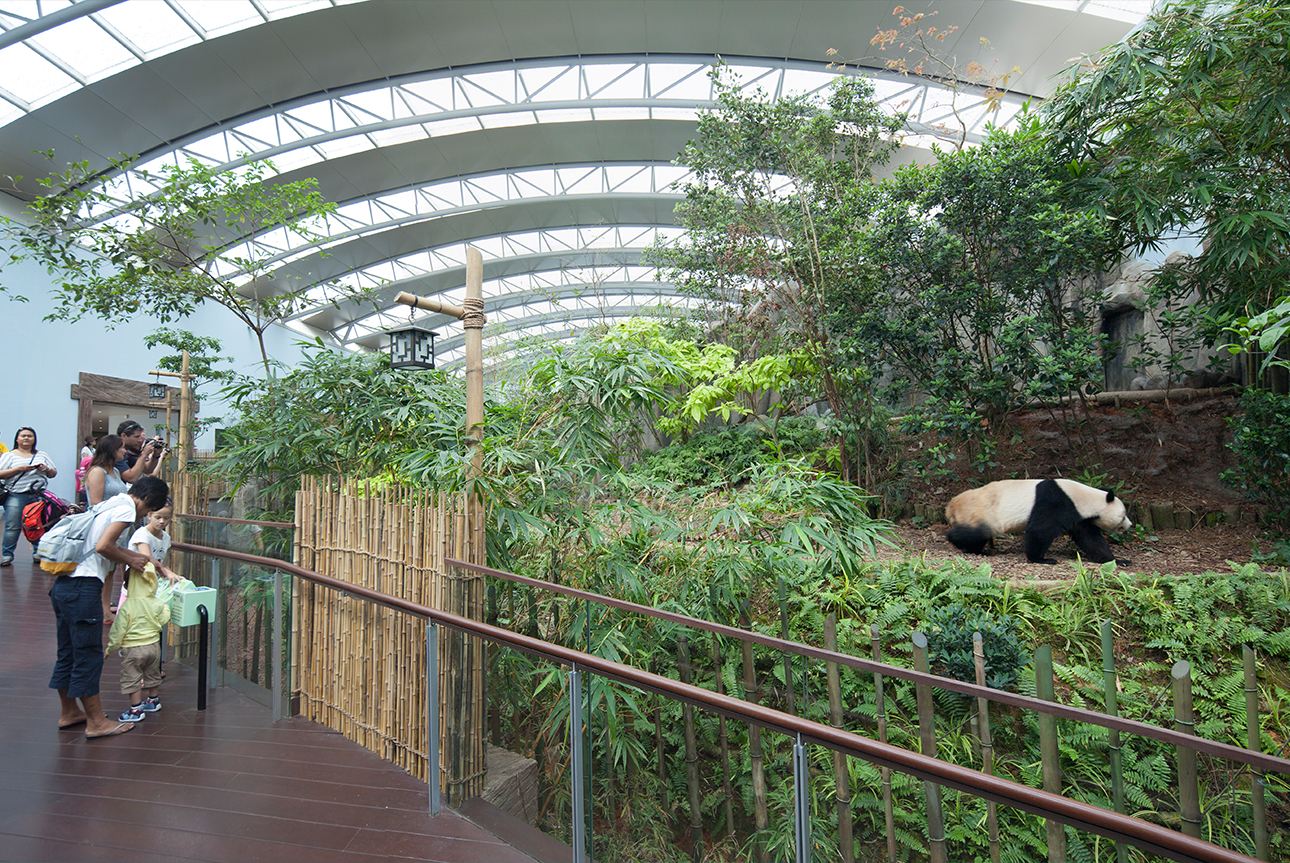 
            River Safari - DP Architects        -1