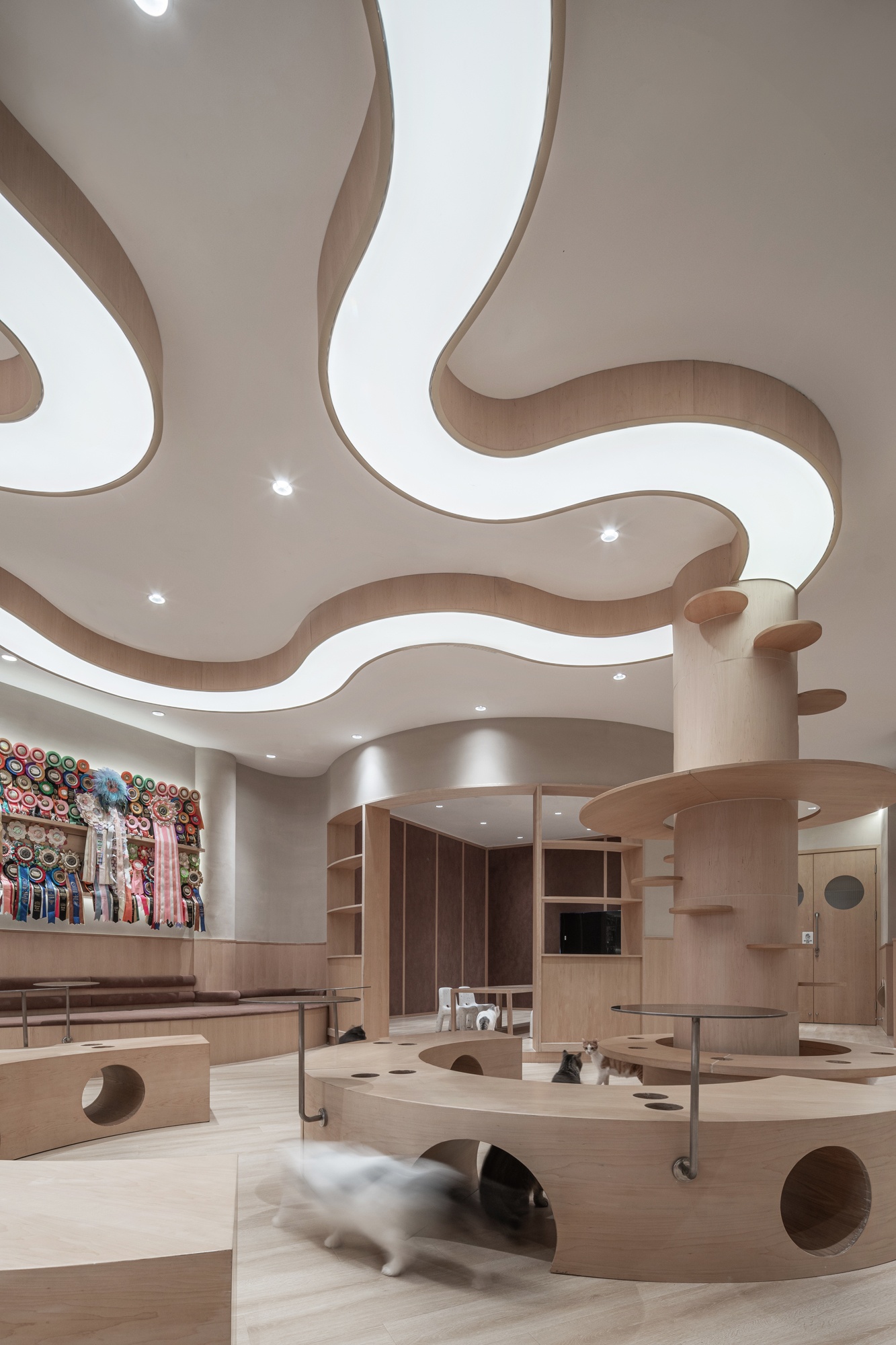 啵啵喵丨中国江苏丨无锡欧阳跳建筑设计有限公司-43