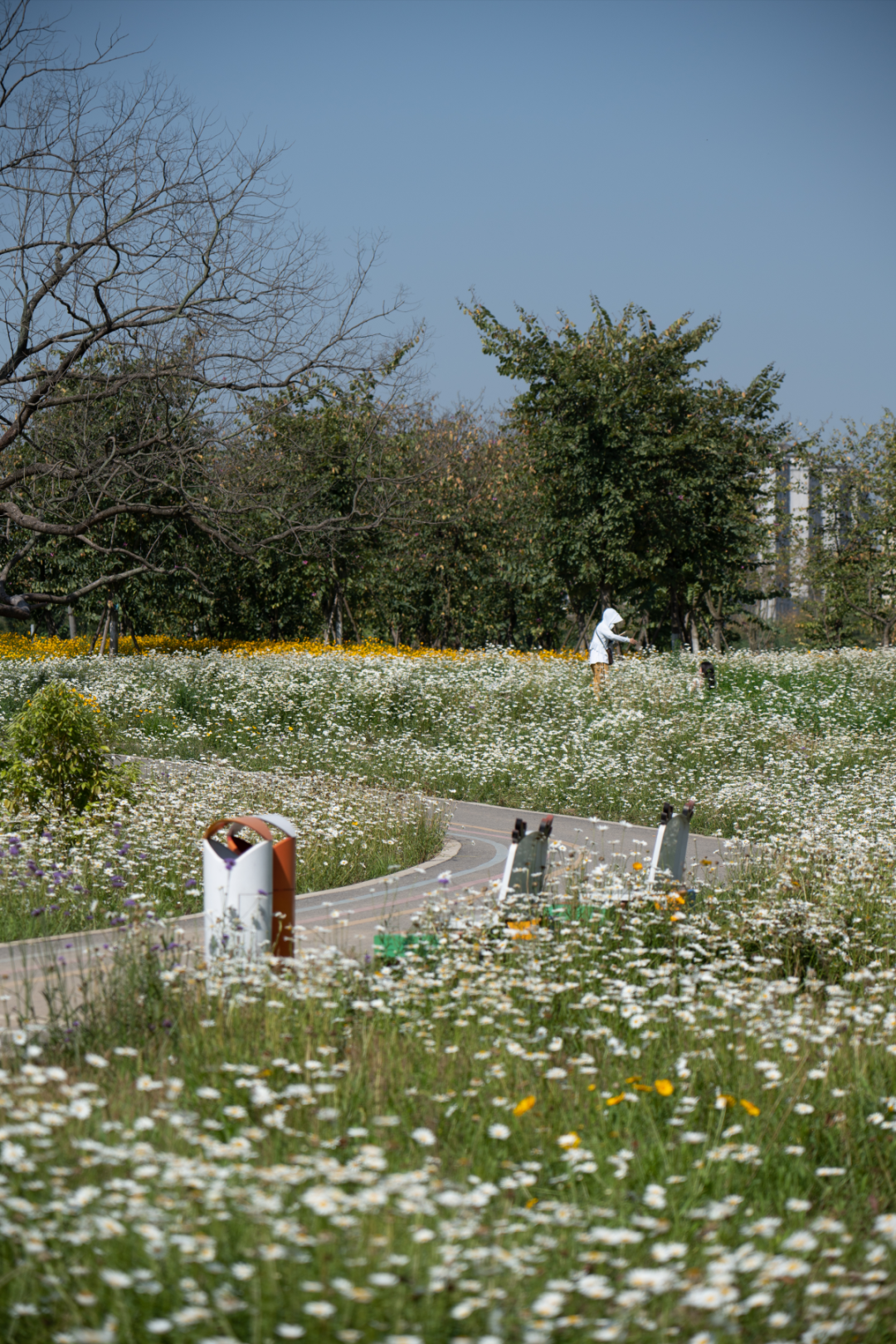 那条飘带 等你触碰:成都大运公园,BOXI柏熙标识丨中国成都丨上海柏熙标识有限公司-71