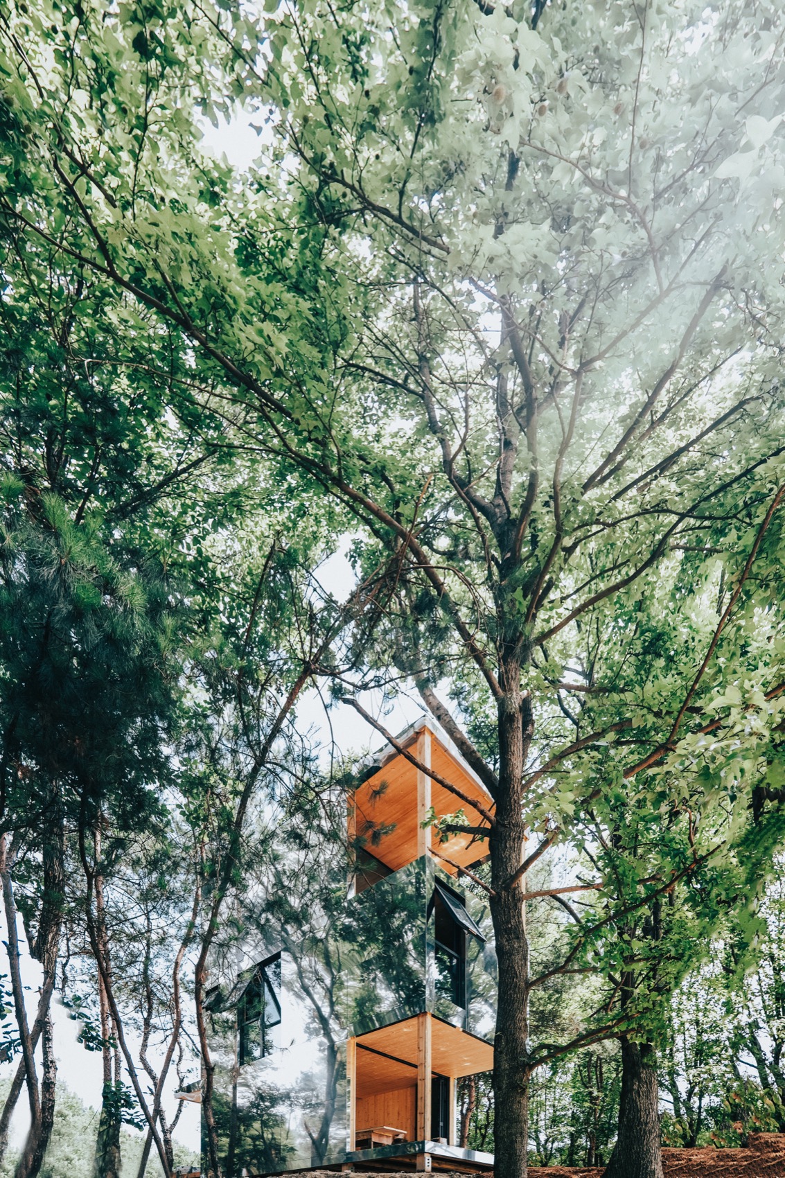 个个世界[荒野之家 #115#] 长颈鹿之家丨中国武汉丨个个世界 Wiki World()+先进建筑实验室AaL-102