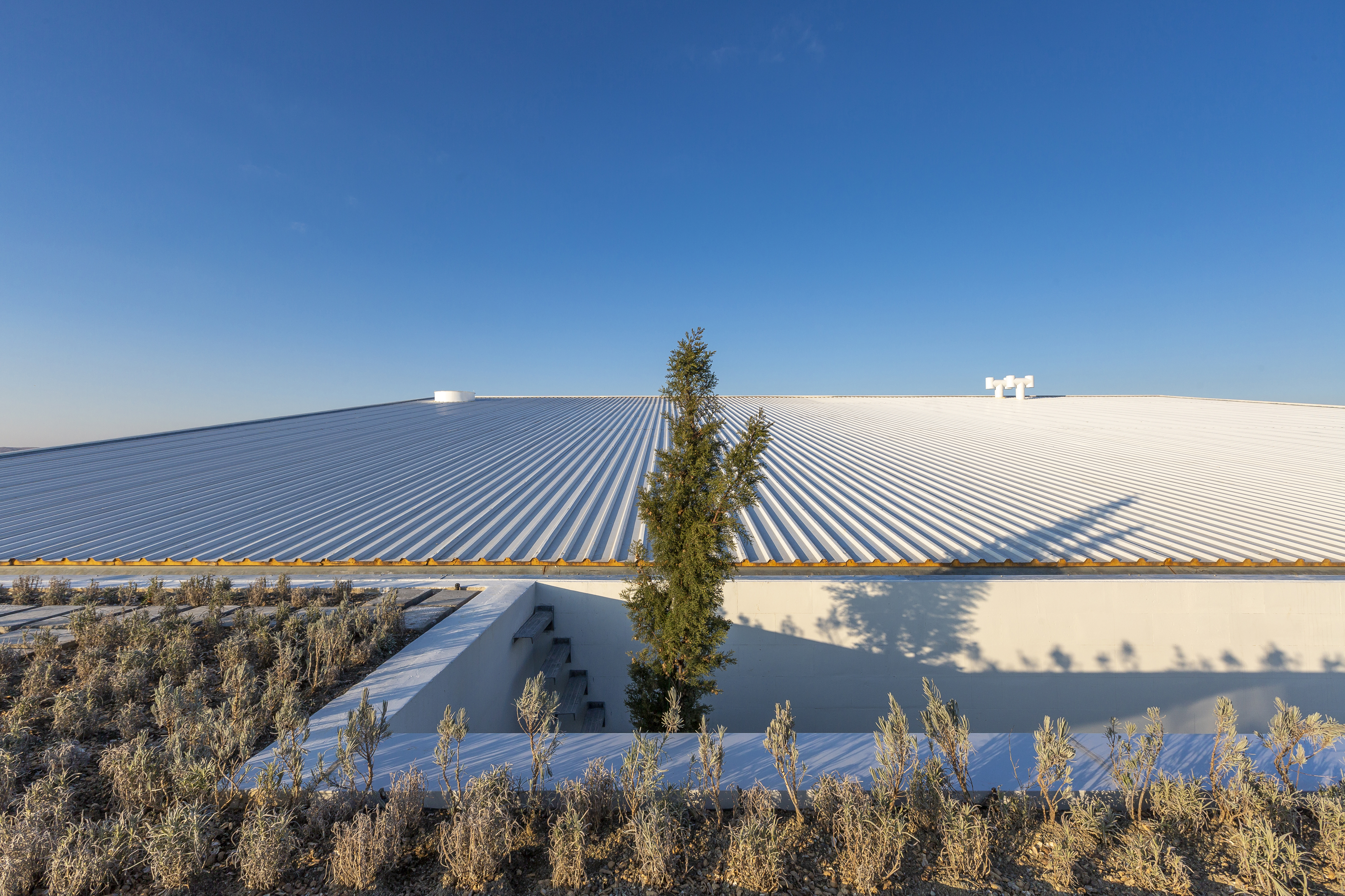 伊朗 Shamim 聚合物工厂丨Davood Boroojeni Office-69