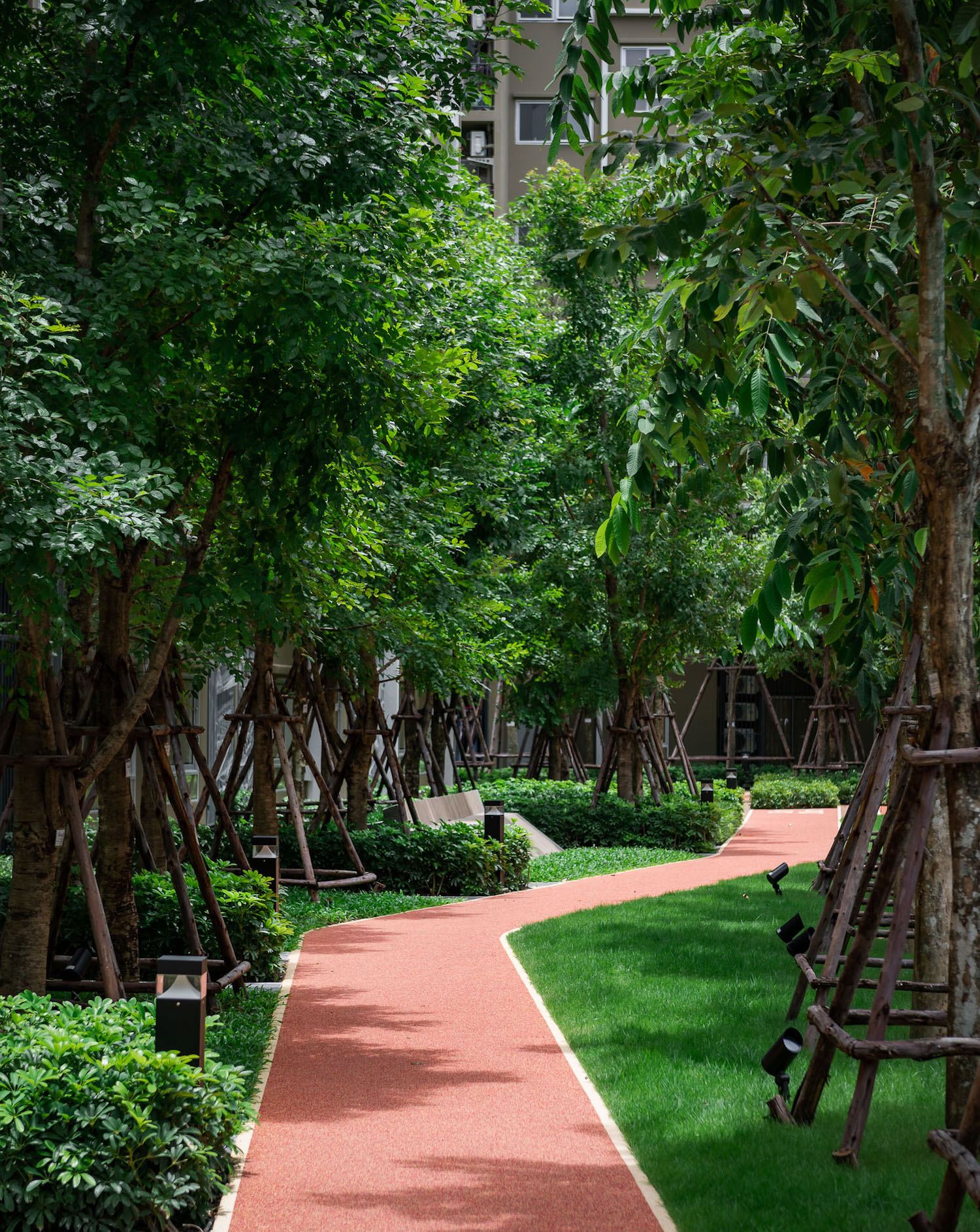 活力大区(Plum Alive)-46