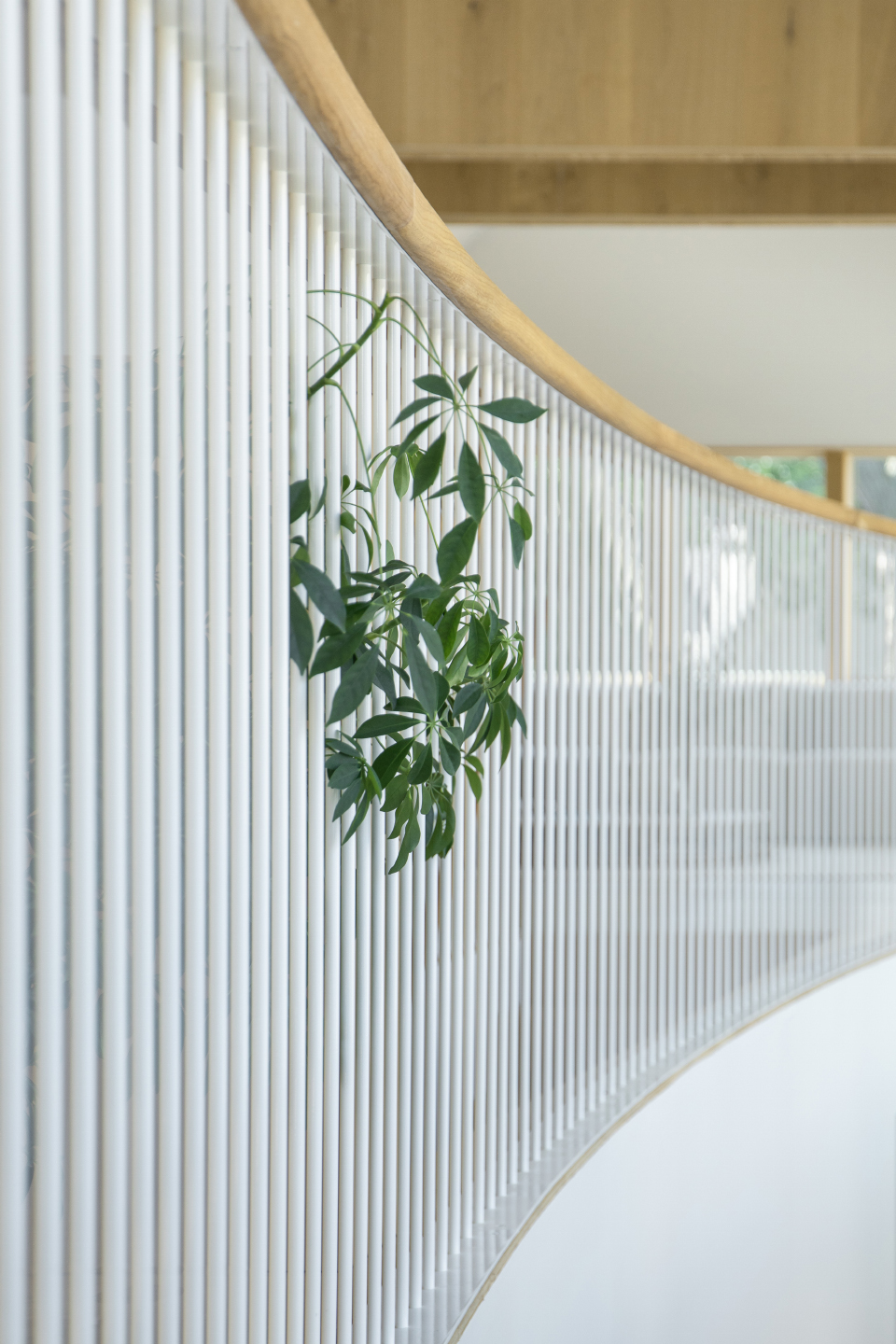 Ardmore 住宅丨美国芝加哥丨Kwong Von Glinow-99