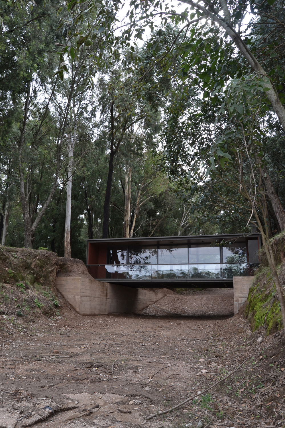 湖边森林中的悬浮桥亭-10