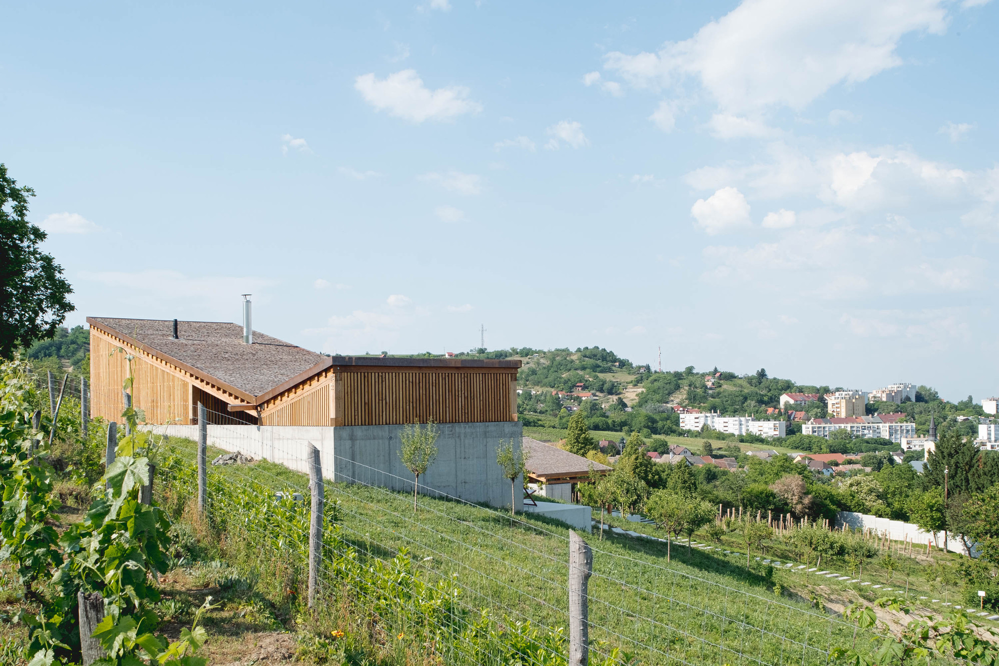 塞格德·罗奇丨匈牙利丨Építész Stúdió-31