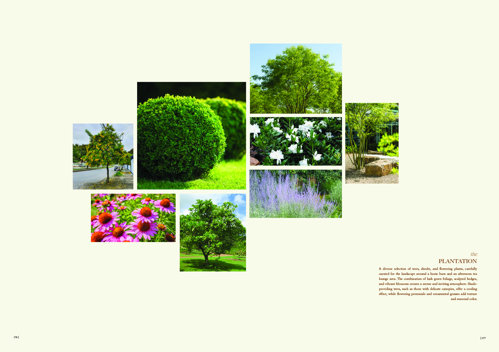 酒店景观丨印度尼西亚巴厘丨作者与同事Narindra,Ayu-57