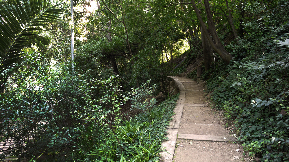 Torrent d'en Farre 公众公园-7