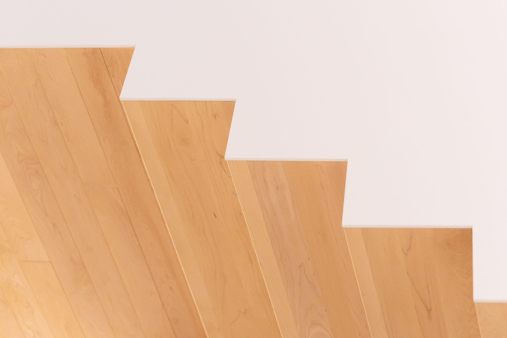 光辉住宅丨加拿大丨NatureHumaine-41