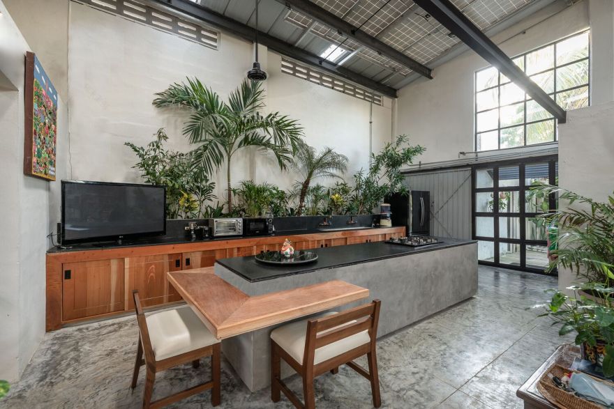 The Cellar House 工业仓库改造住宅丨墨西哥丨Taller Verde Arquitectura-15
