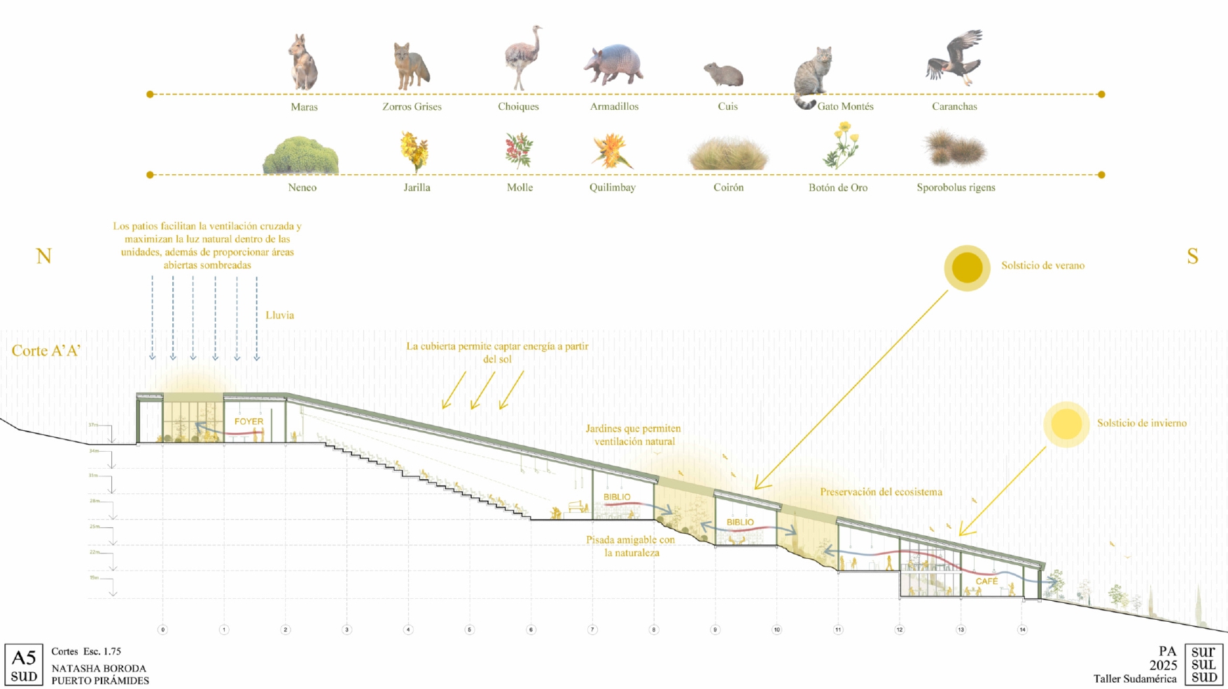 Puerto Pirámide | Centro de Investigacion-20
