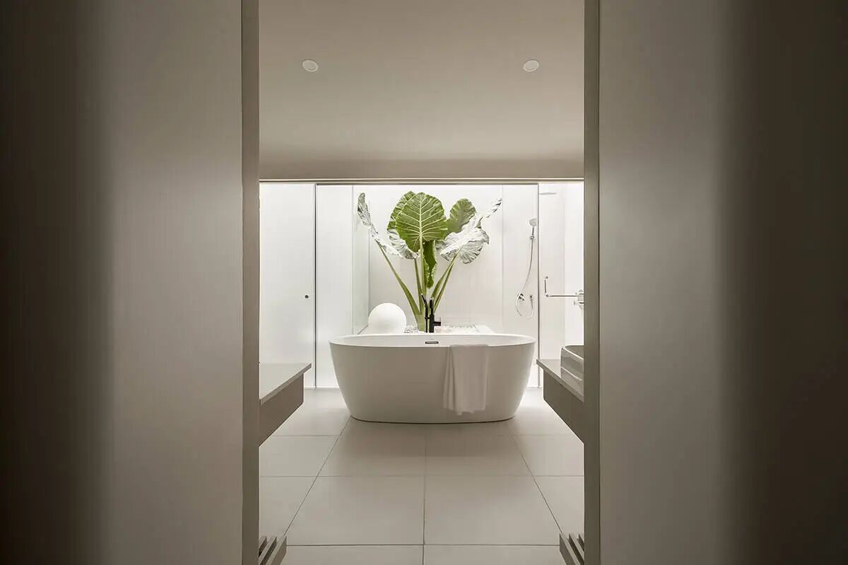 White Oasis窄长宅设计-18