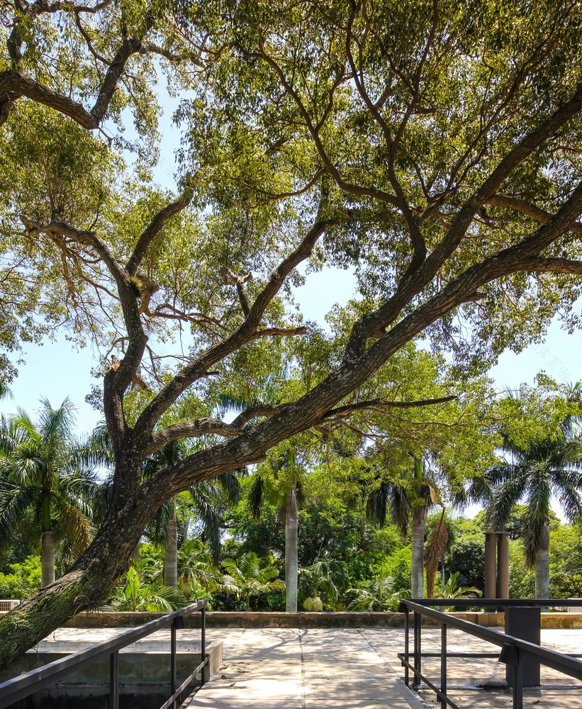 马里亚诺·罗克阿隆索市牧场住宅-5