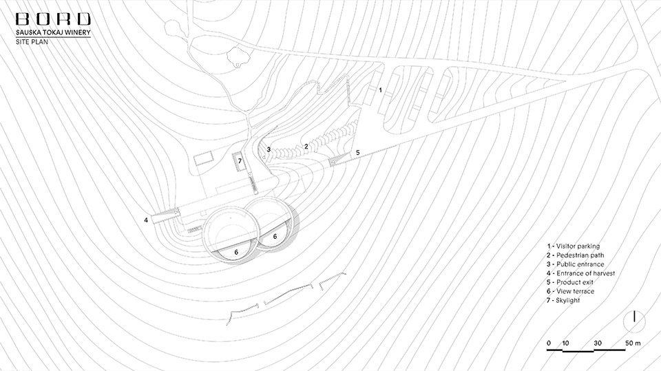 Sauska Tokaj酿酒厂，匈牙利 / BORD Architectural Studio-73