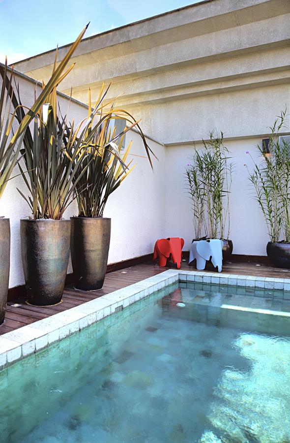 皮涅罗斯高地三重奏-9