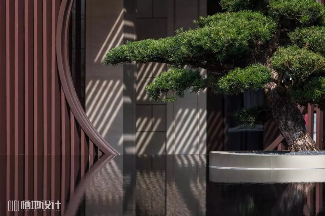 春风十里,赏鉴各地居住区春日美景-101