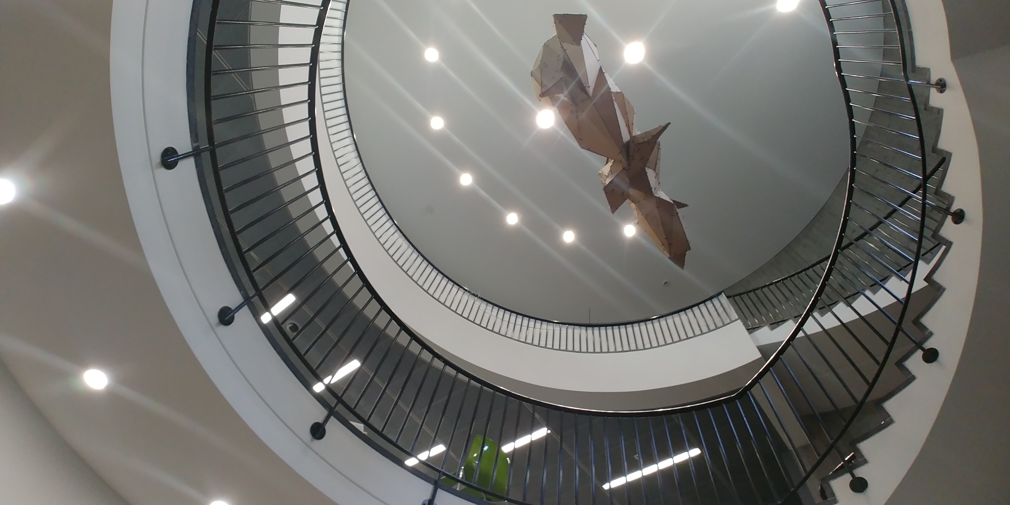 丨Anne  France Aguet-3