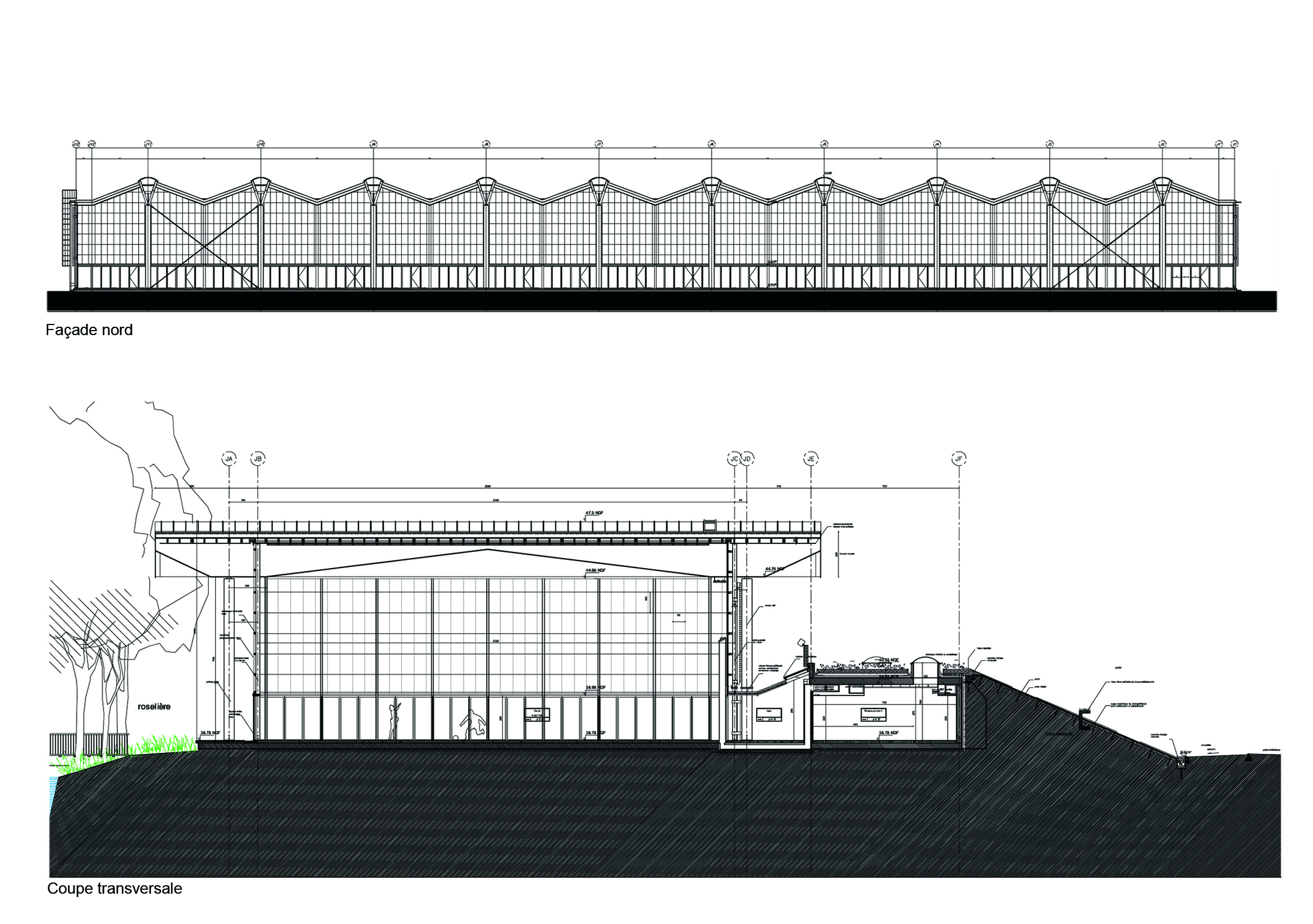 柯洛中学 campus 重构与扩展-14