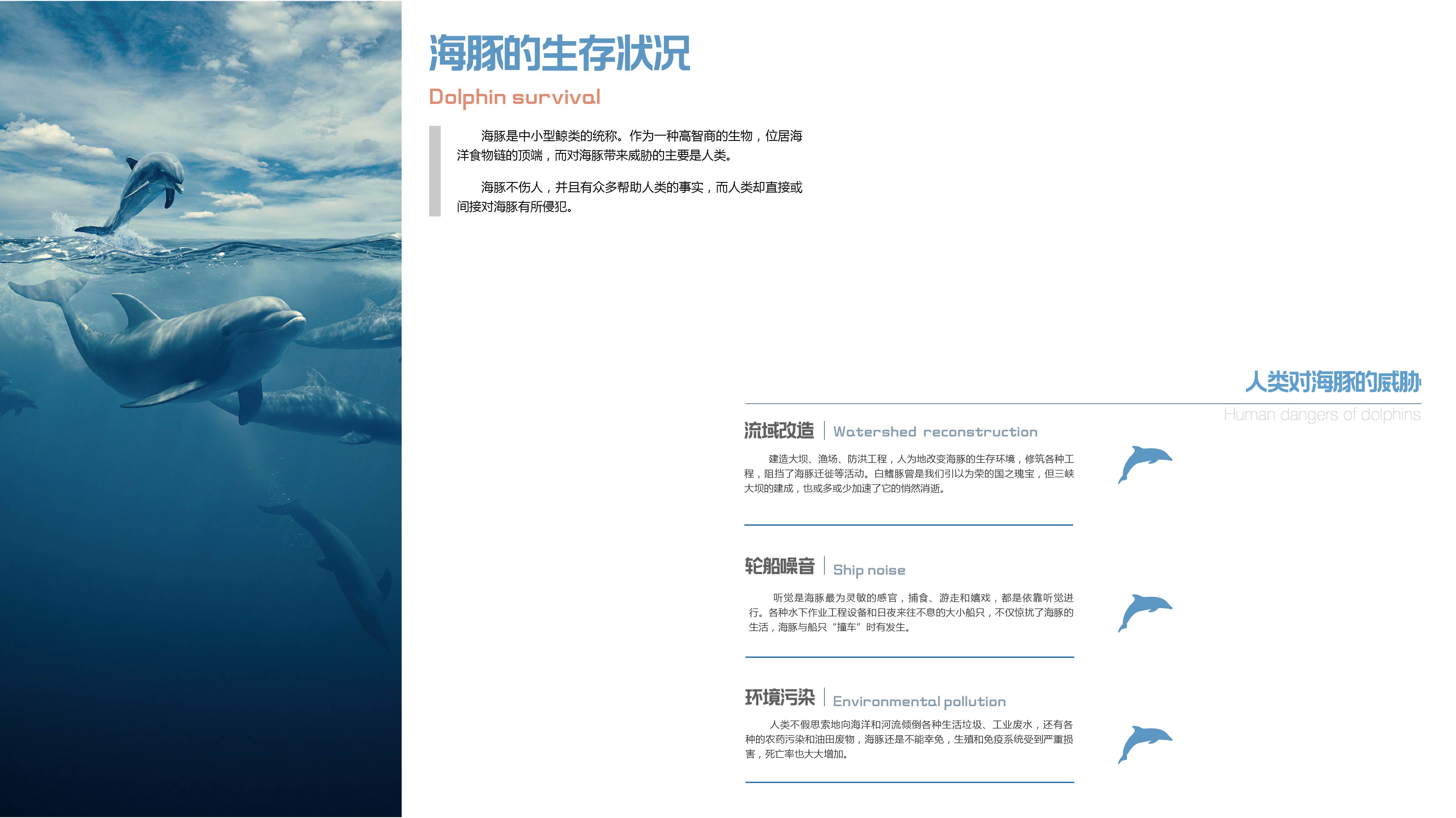 《海豚大逃亡》 | 跳脱思维的展示空间设计-9