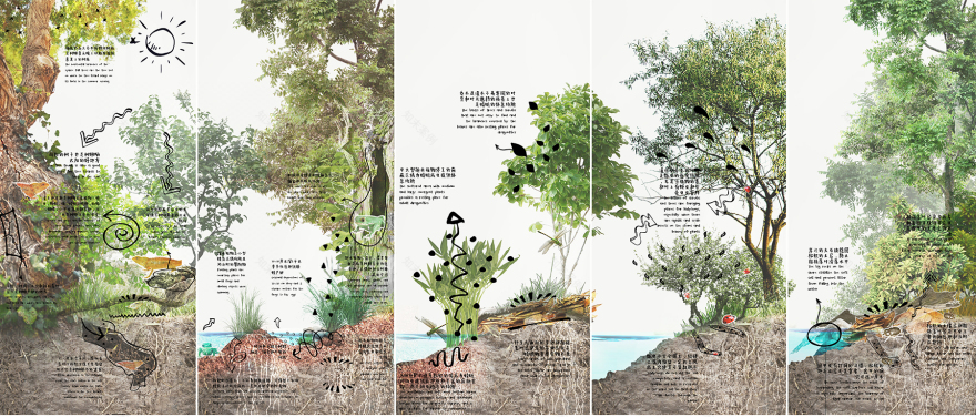 深圳红树林湿地博物馆方案设计及建筑与景观专业初步设计·红树十二境丨中国深圳-36