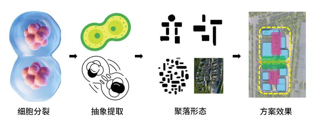 生物医药领域新中标！-8