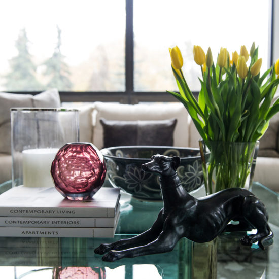 Avenue Road公寓重建项目丨Timothy Johnson Design-4