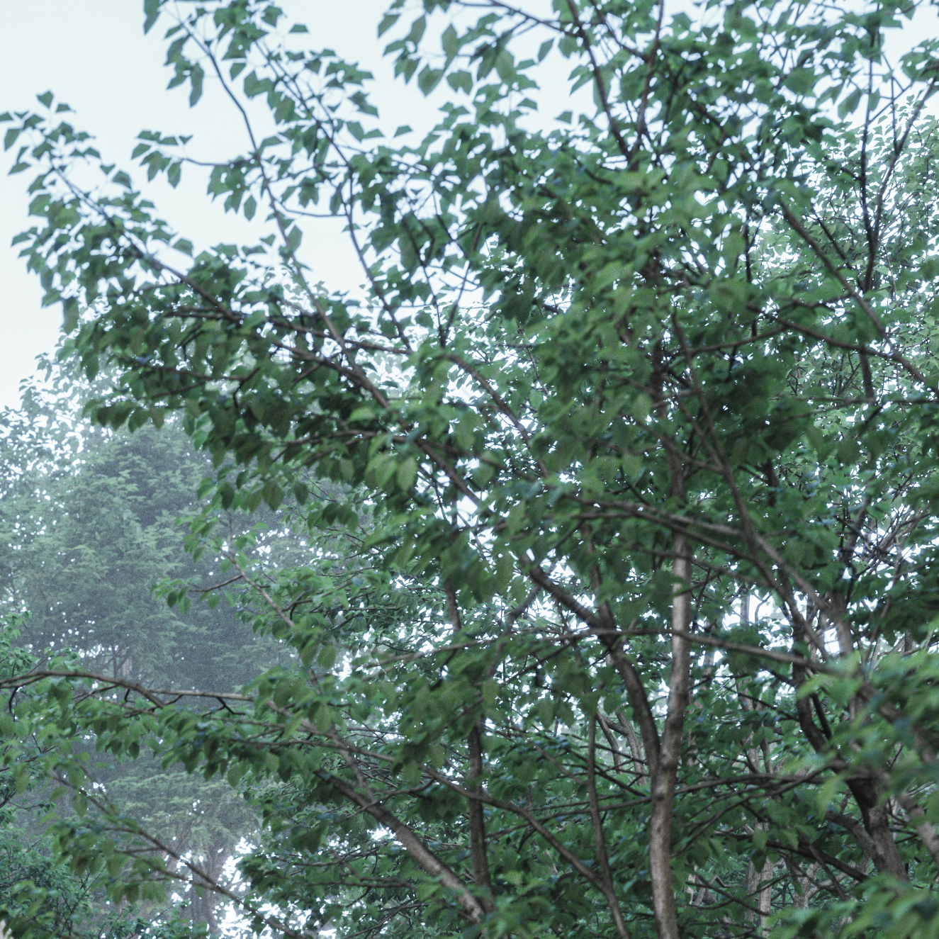 3ds Max 中的 Corona 渲染 | 现代室内设计案例解析-11