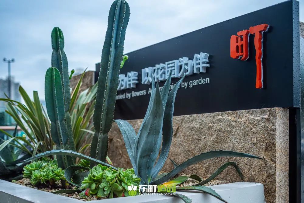 町室丨中国上海丨朱伟国（Mark.Zhu）-74