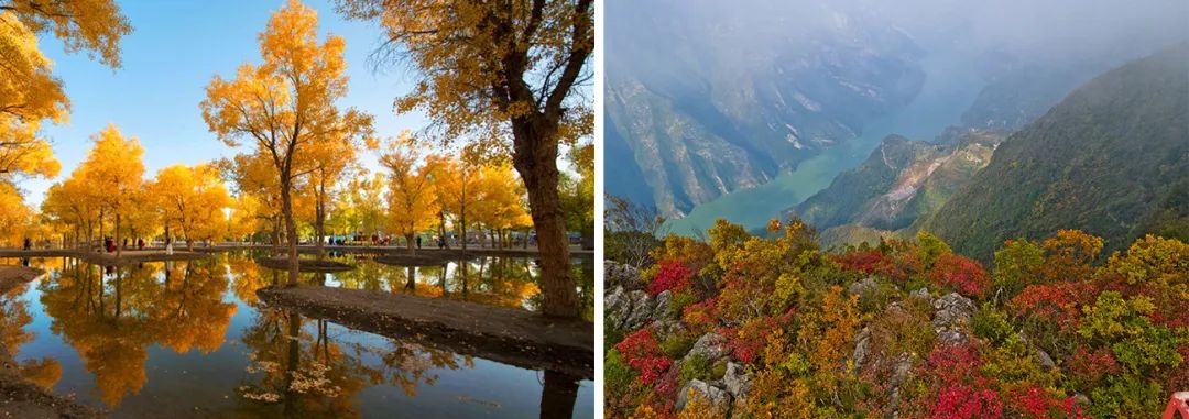 花城广州,四季繁花似锦的生态城市设计丨中国广州丨茏腾园林-2