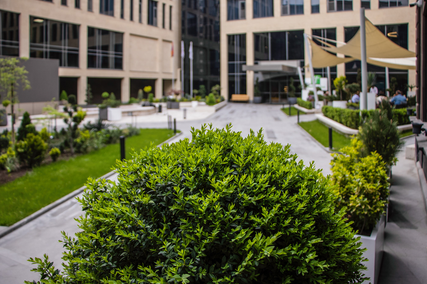 Jivan Restaurants' exterior design-9