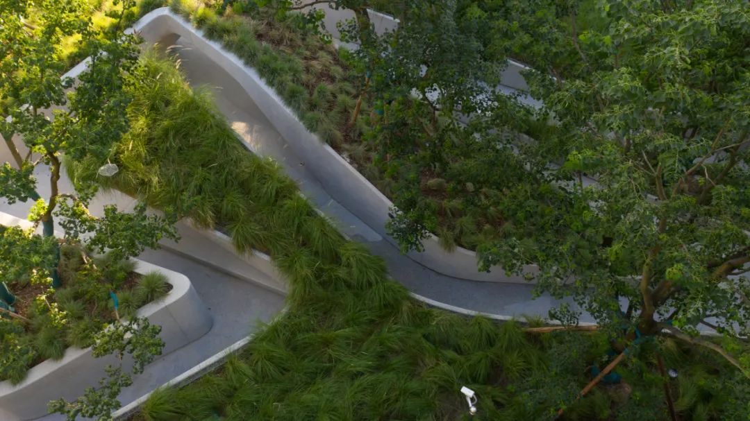 穿水公园——麓湖活水公园首开段 | Lab D+H 实践-27