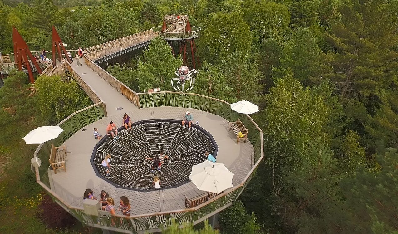 阿迪朗达克斯野生步道丨查尔斯·雷伊-26