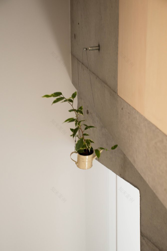 日本花园 Shirowa 的紧凑型附属建筑设计-23