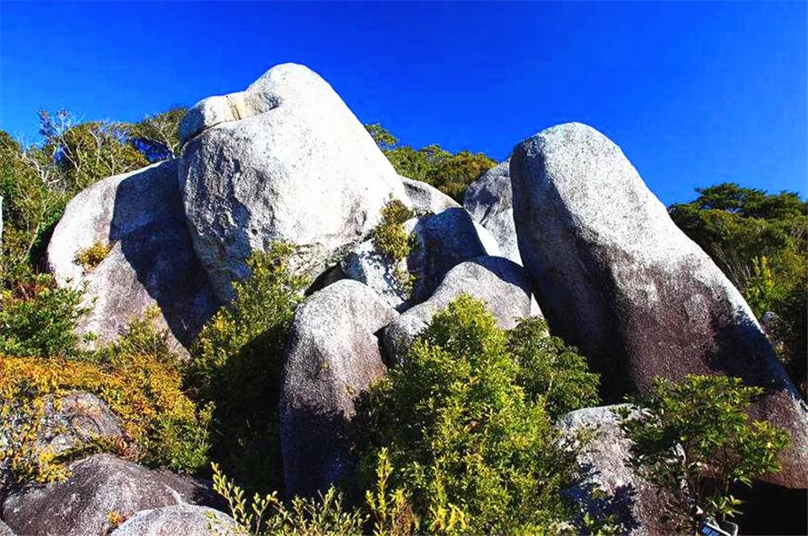 自然之灵感，艺术之展现——MAD Architects 设计作品解析-122