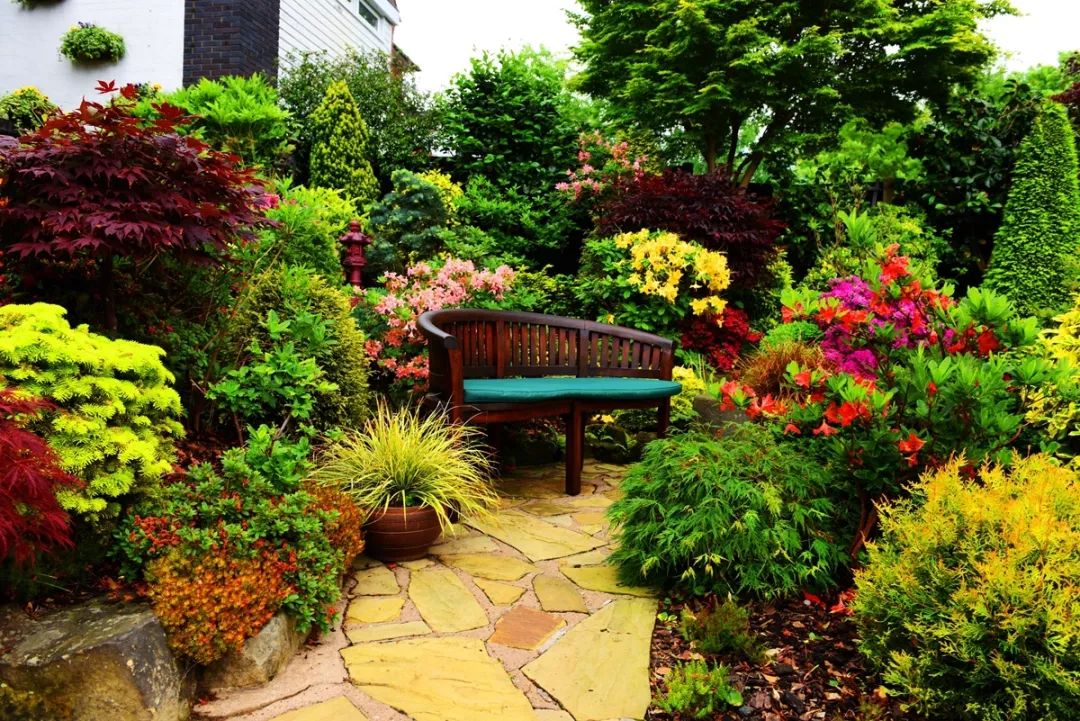花境植物配置的艺术 | 四季美景尽收眼底-5