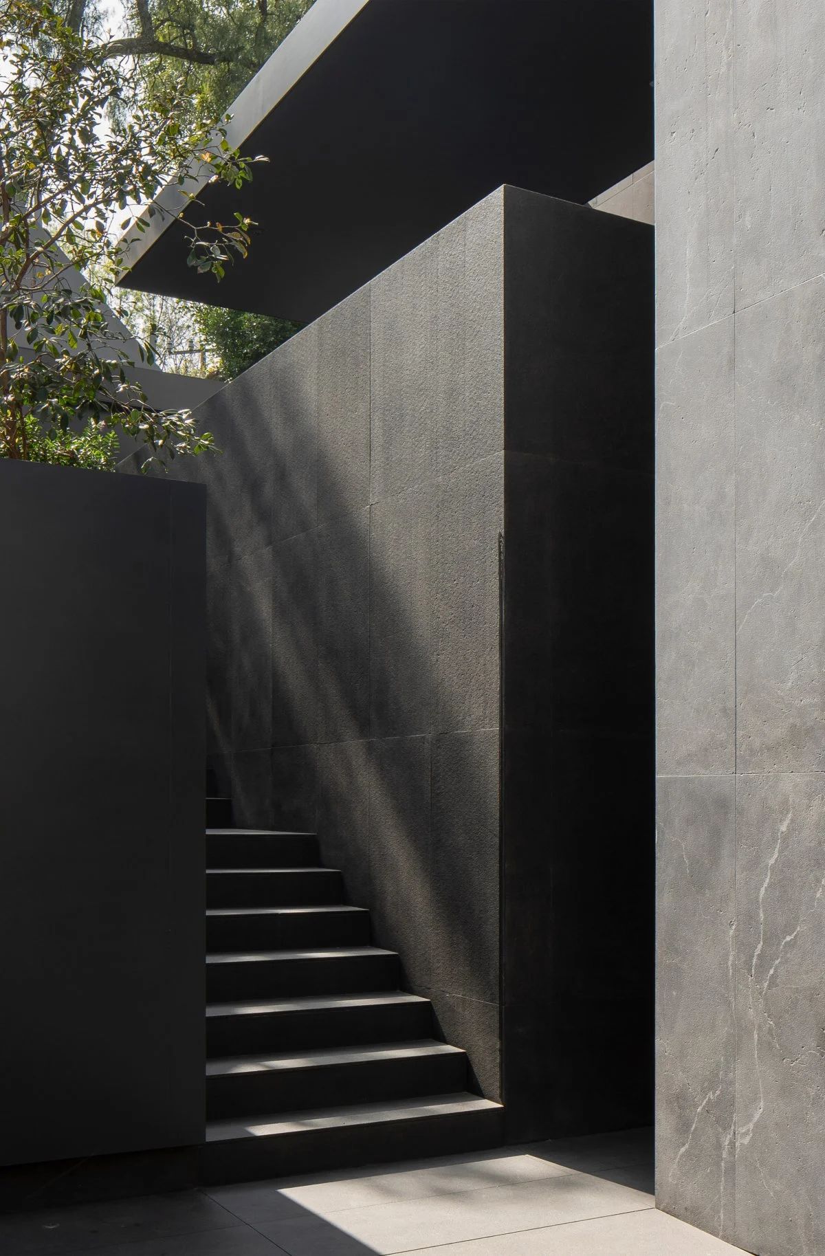 Francesc Rifé 专辑-15