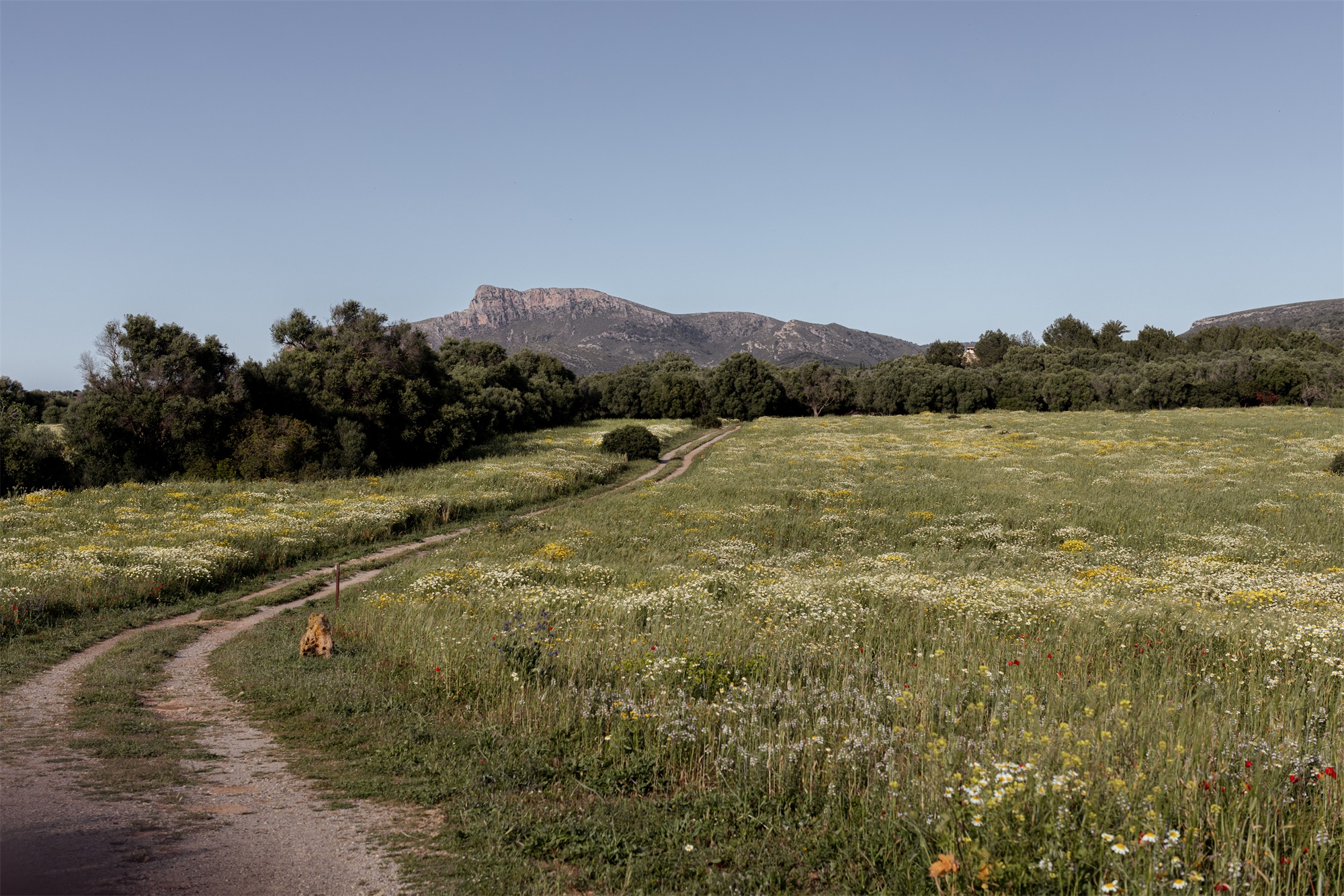 以雕塑语言重构岛屿光域丨西班牙丨Ready To Hang-29