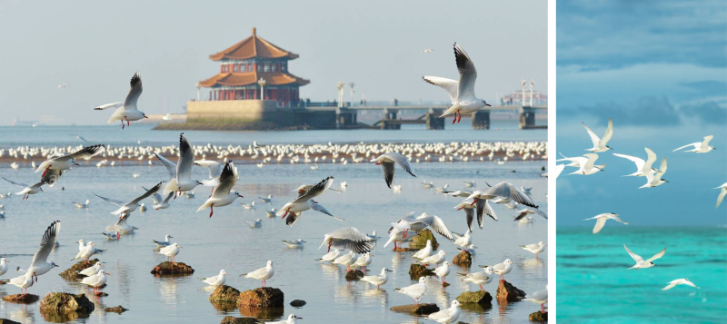 青岛亚洲杯足球场丨中国青岛丨北京市建筑设计研究院有限公司BSD设计所-22