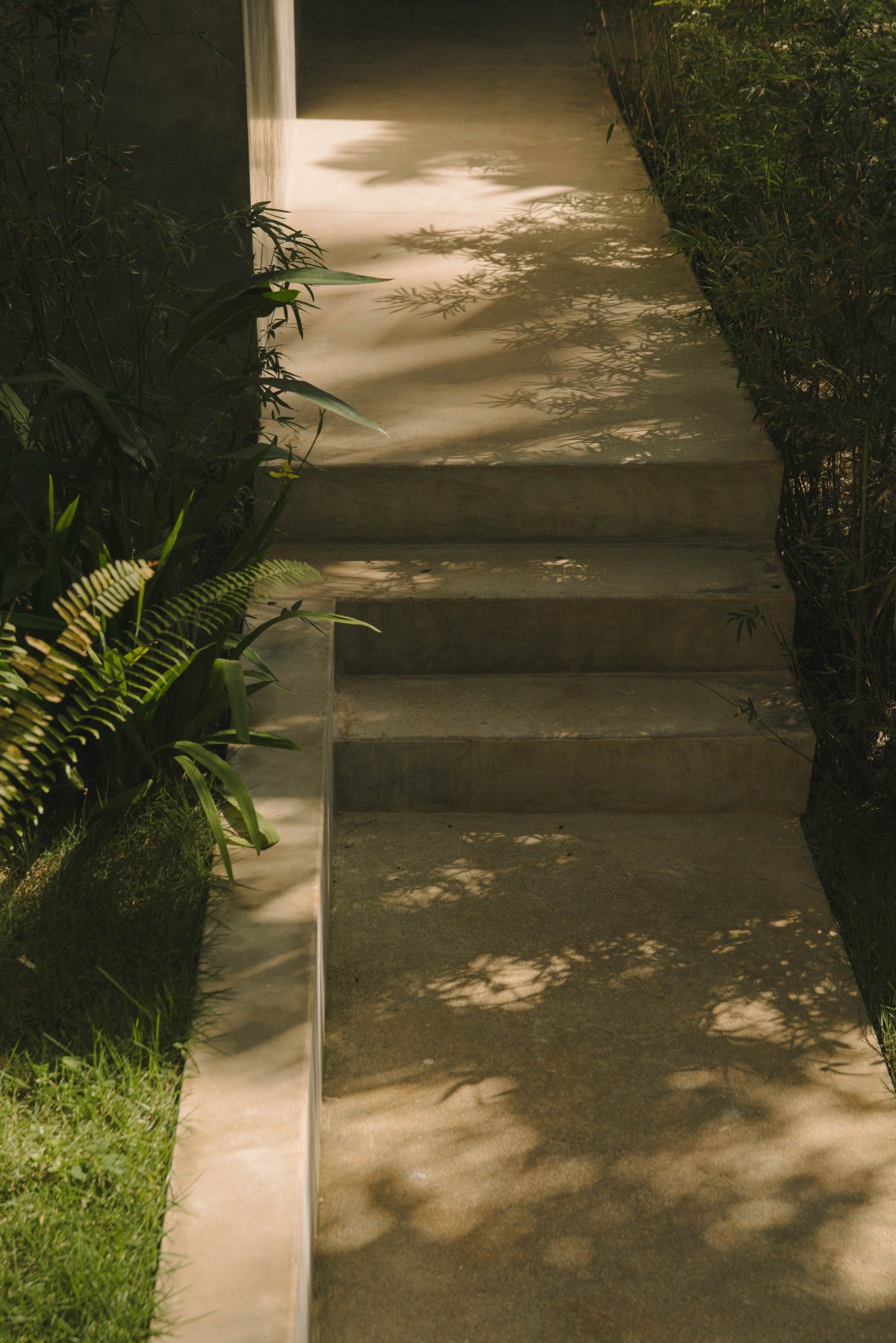 Rosabaya 住宅丨Arkina-22