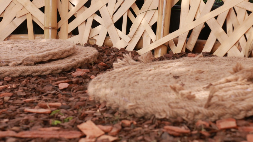 秘境花园 | 树洞中的心灵秘境-59