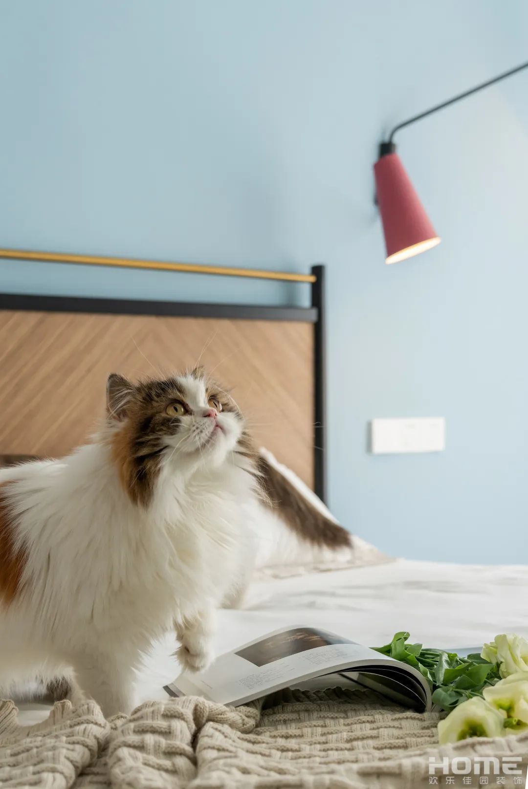 实景新作|一米阳光-28