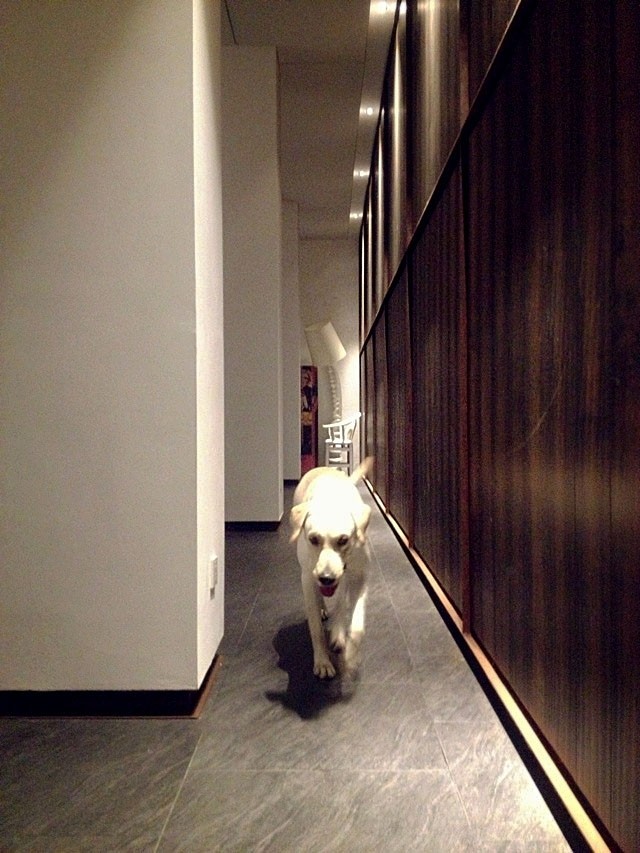 低成本改造工作室，实现高效办公环境-17