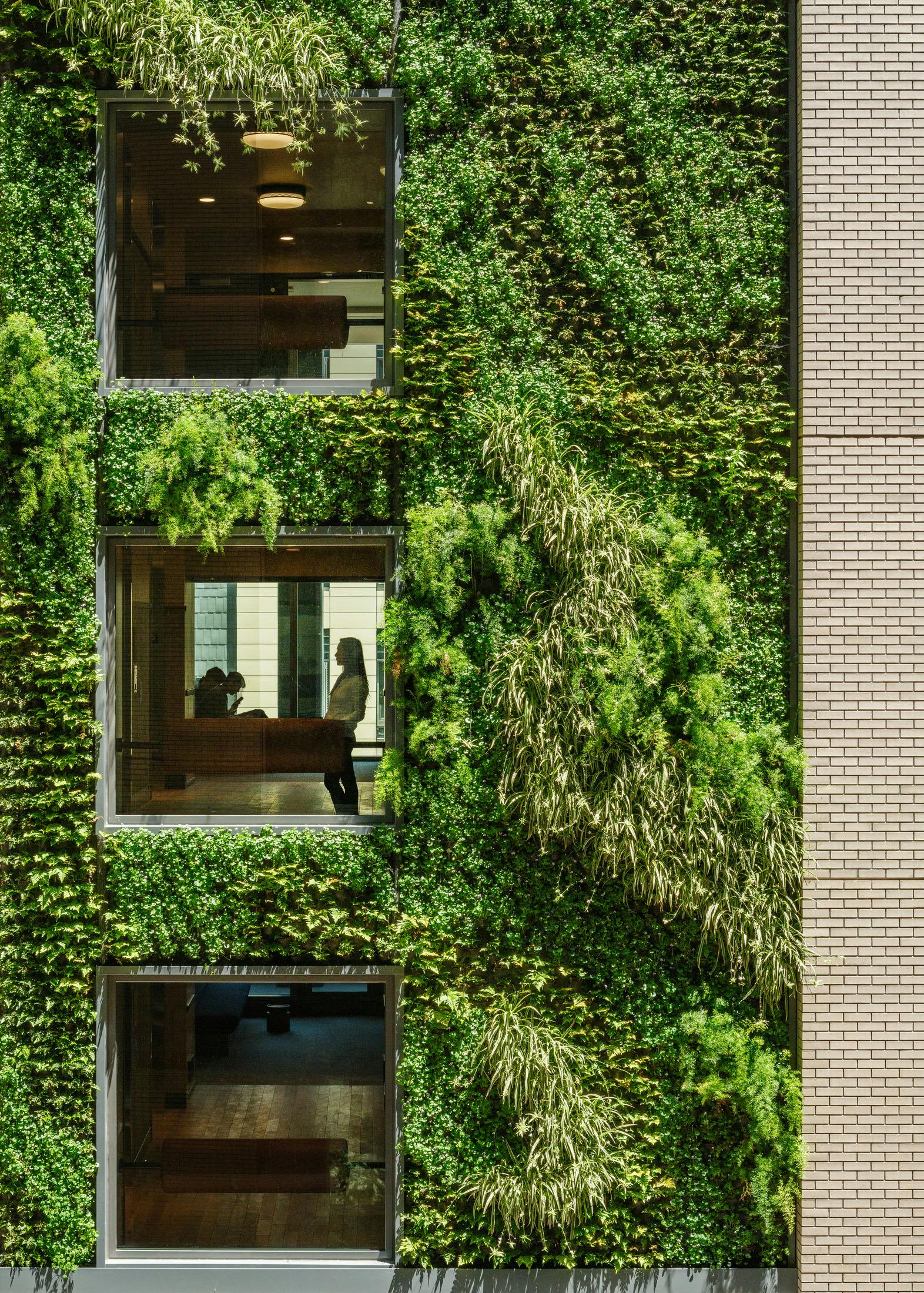 丨美国加利福尼亚丨Morris Adjmi Architects-21