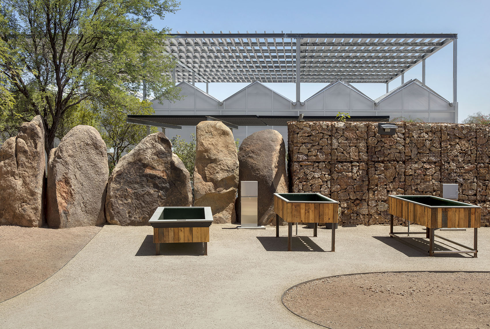 沙漠植物园一期丨美国-3