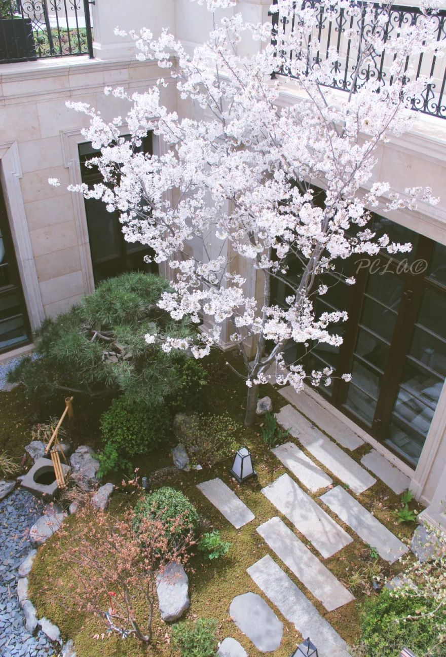 四月花园丨中国北京丨和平之礼花园-1