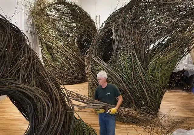 森林幻想家 | Patrick Dougherty 的树枝艺术-12