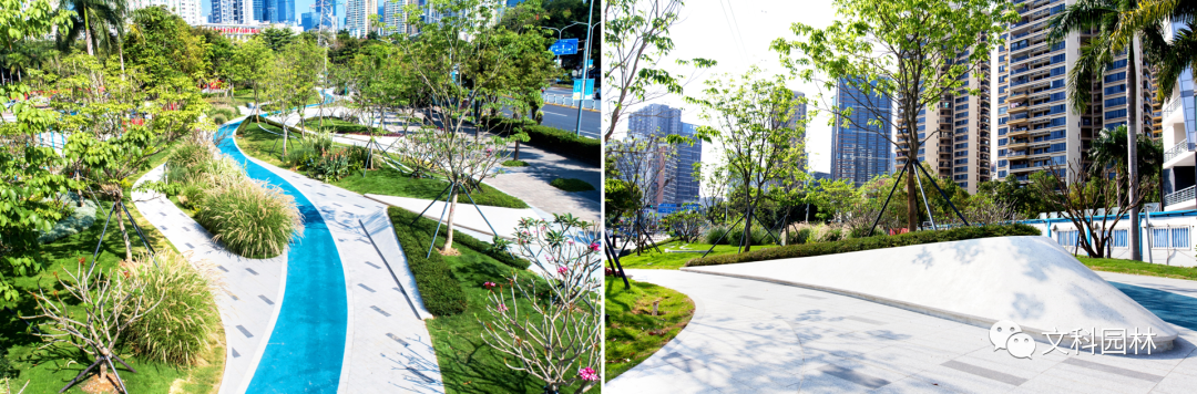 深圳福田花漾街区及街心花园 | 创新景观设计,重构城市空间-27