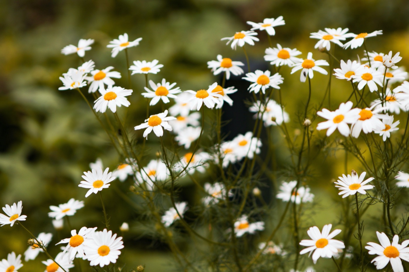 Scandic Grand Central Helsinki Courtyard | 绿色秘境酒店庭院设计-25