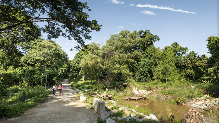 比达达利公园丨新加坡-23