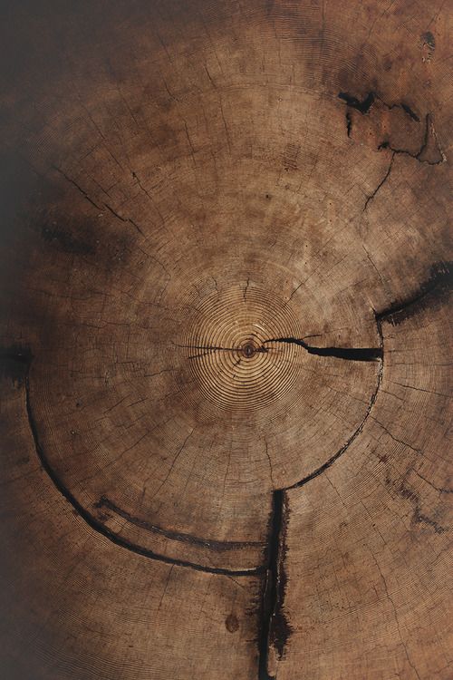 西泽兰弗拉芒整体海岸管理-1